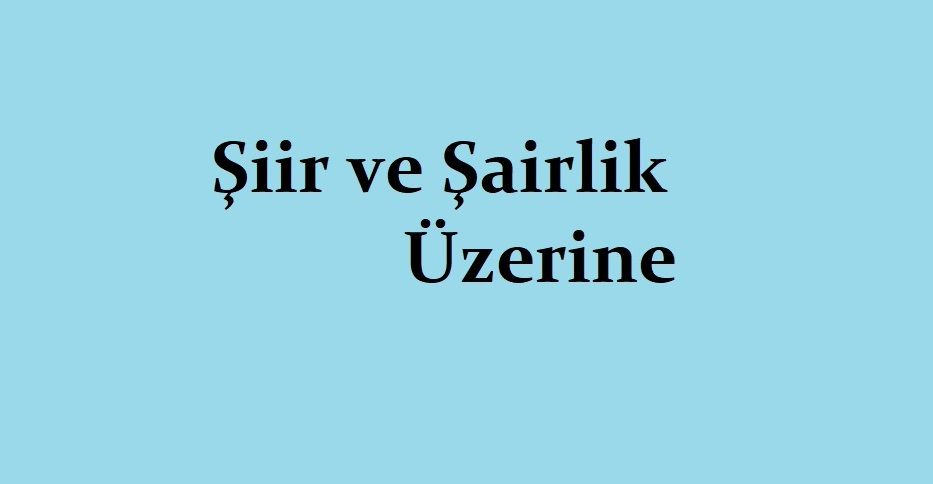 Şiir ve Şairlik Üzerine - Necip YILDIRIM