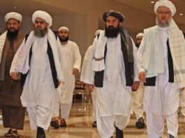 Taliban ve Afganistan'ın Geleceği - Necip YILDIRIM