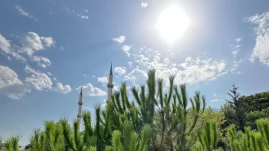 Nurten Topaloğlu - Serazat.com - Serâzât Yazarı - Hep bir şeyler eksik kalacak