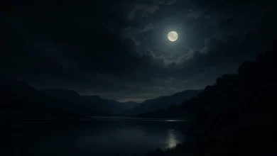 Uyan - Enes Kaya