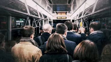 Serazat- Emin Arıcı-Renginar